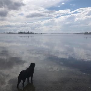 Meet your Posher, Patrick